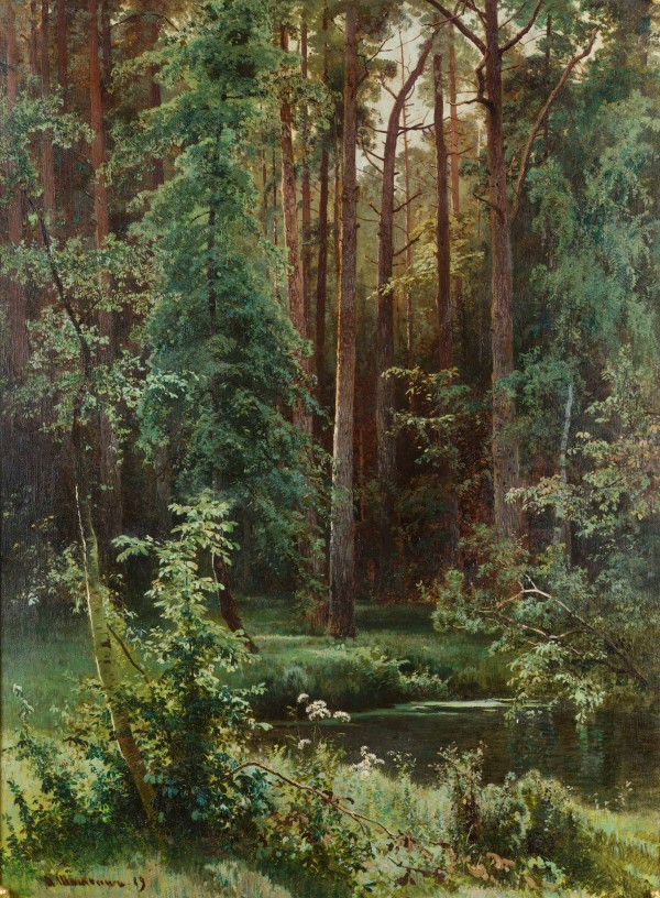Sunny forest by Ivan Shishkin